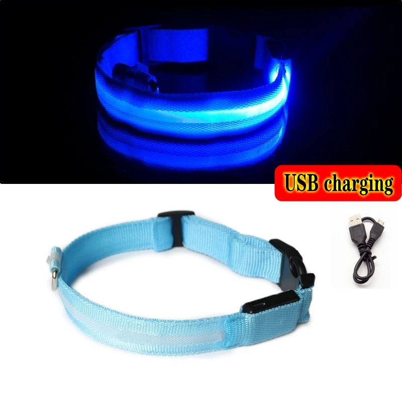 Led Dog Collar Bright at Night Luminous Pet Products USB Charging