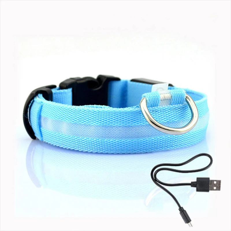 Led Dog Collar Bright at  Night Luminous Pet Products USB Charging