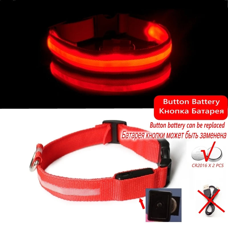 Led Dog Collar Bright at  Night Luminous Pet Products USB Charging