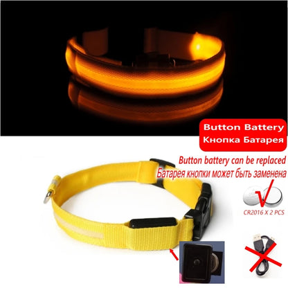 Led Dog Collar Bright at  Night Luminous Pet Products USB Charging