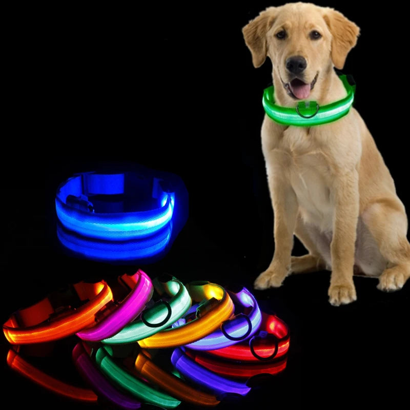 Led Dog Collar Bright at  Night Luminous Pet Products USB Charging
