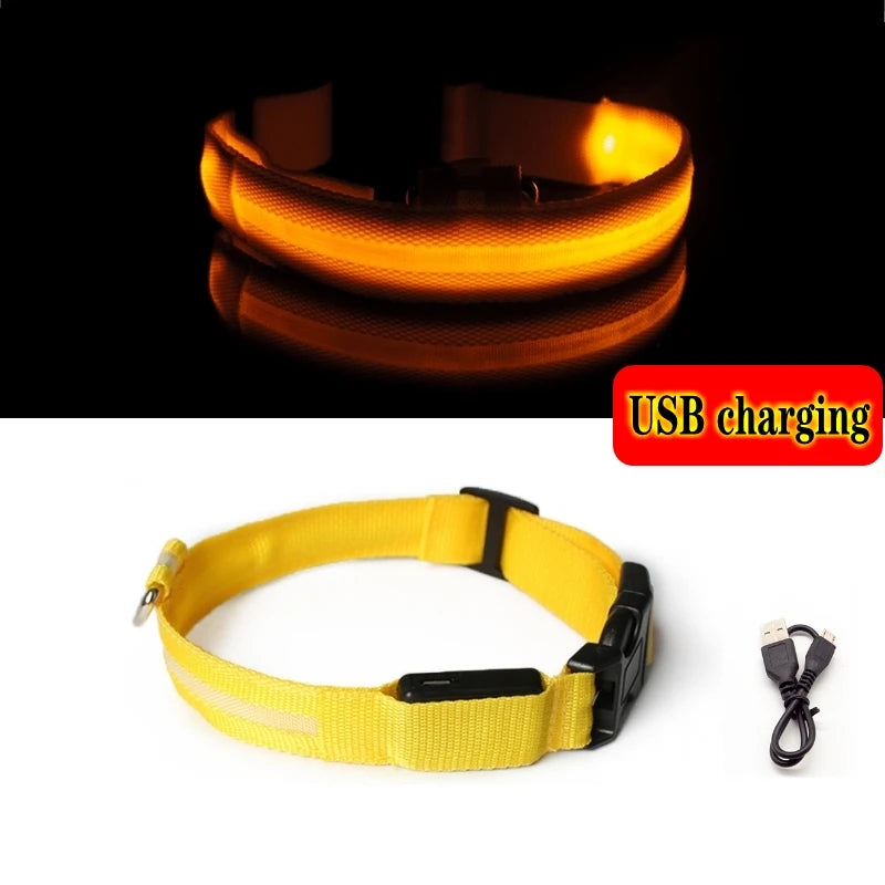 Led Dog Collar Bright at  Night Luminous Pet Products USB Charging