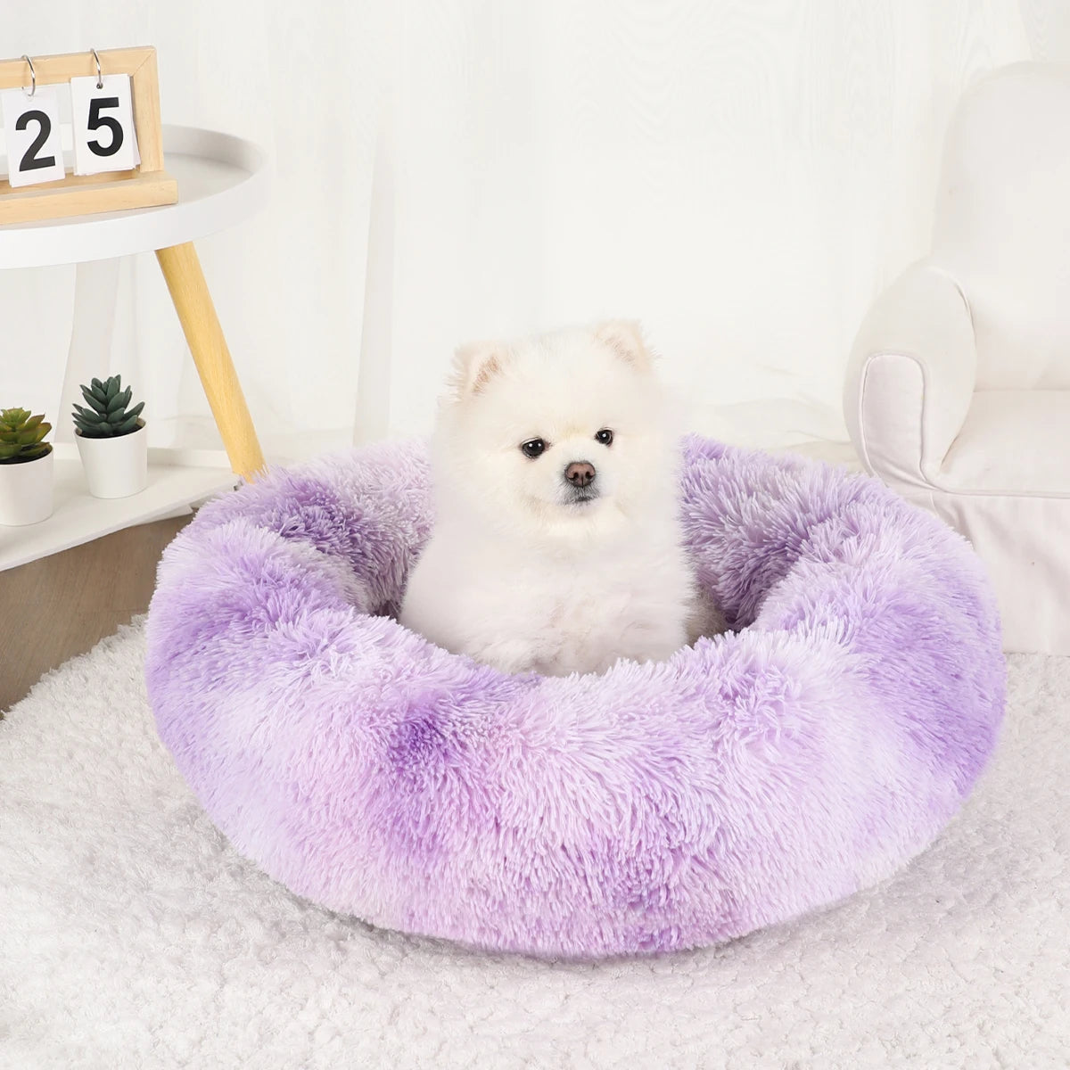 Plush Dog Bed Various styles and colors to choose from