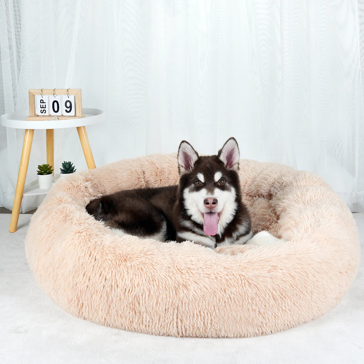 Plush Dog Bed Various styles and colors to choose from
