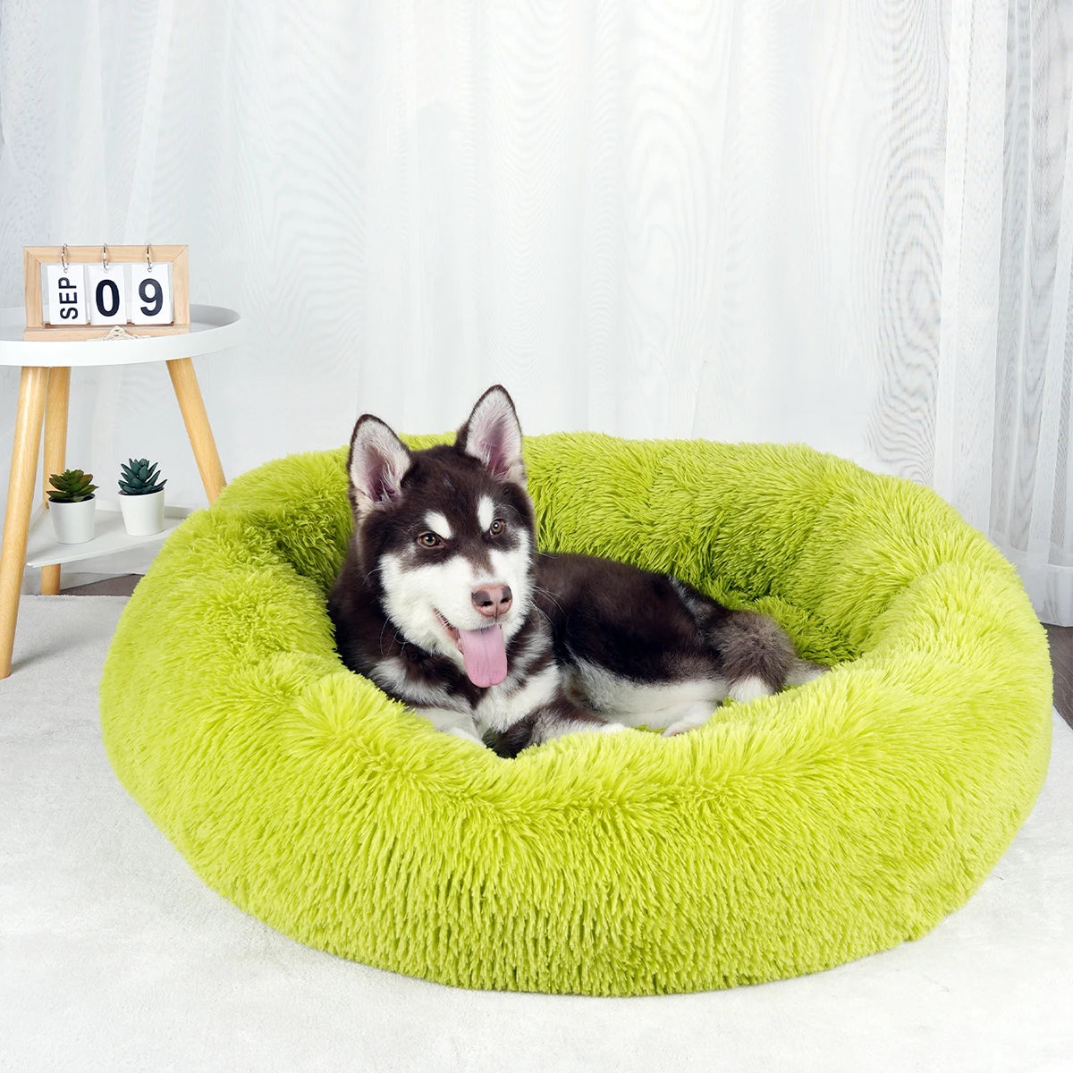 Plush Dog Bed Various styles and colors to choose from
