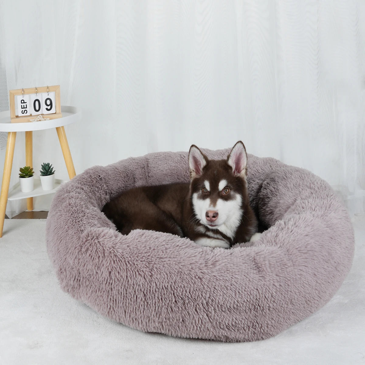 Plush Dog Bed Various styles and colors to choose from