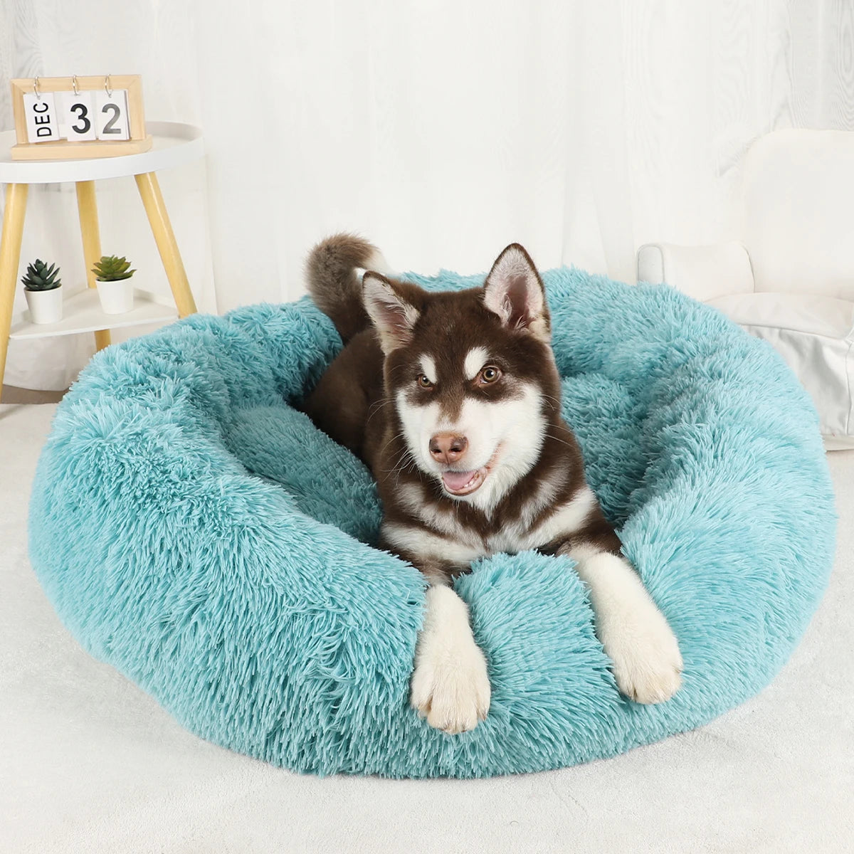 Plush Dog Bed Various styles and colors to choose from