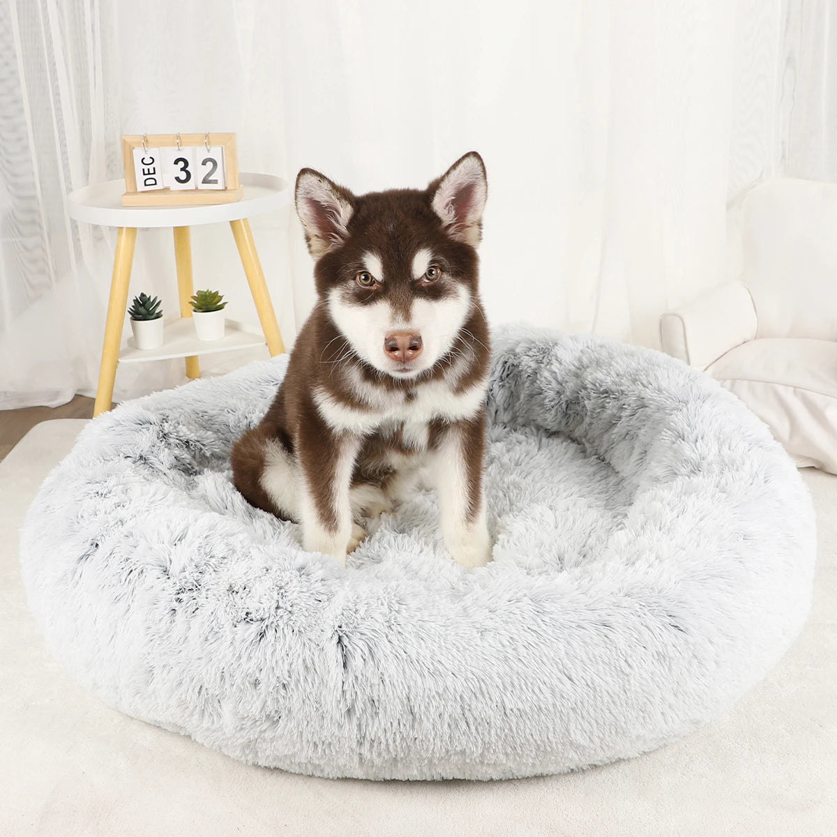 Plush Dog Bed Various styles and colors to choose from