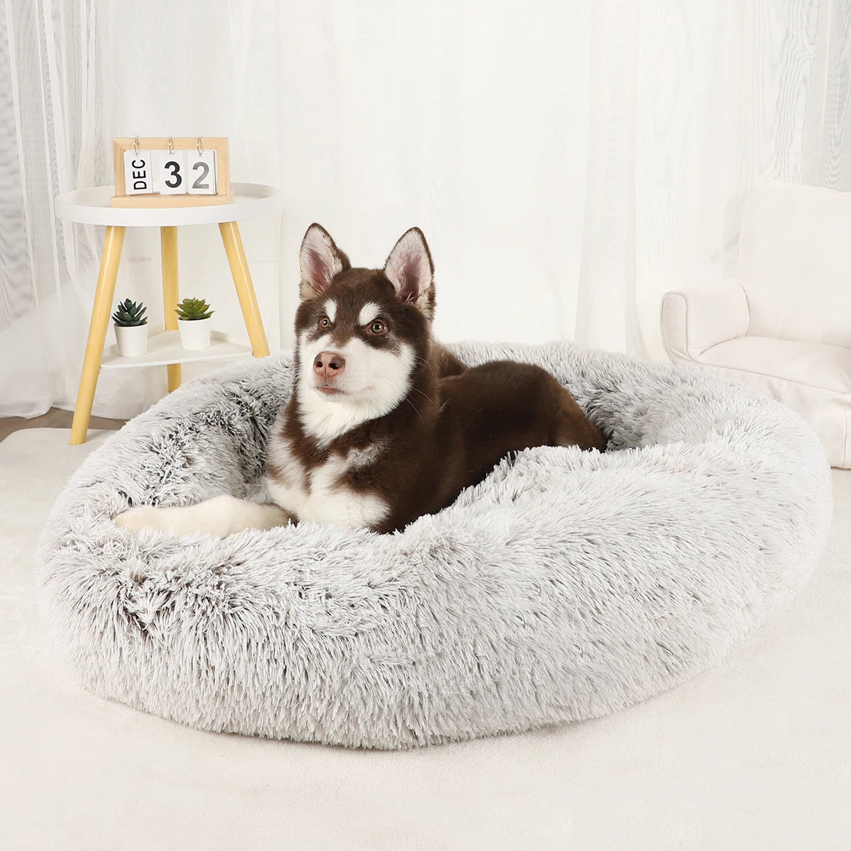 Plush Dog Bed Various styles and colors to choose from