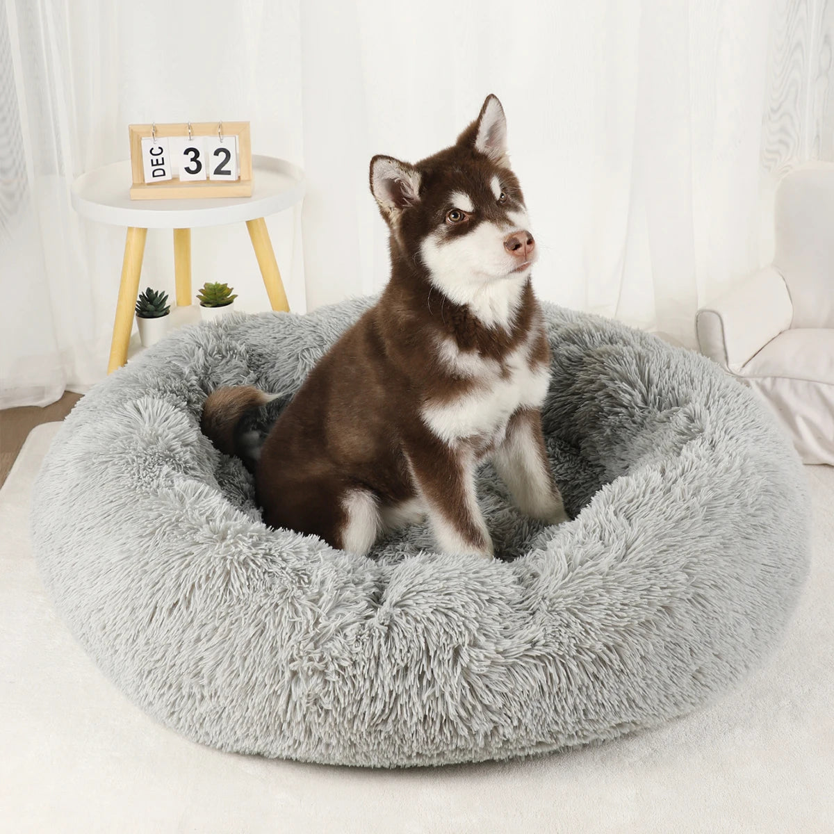 Plush Dog Bed Various styles and colors to choose from