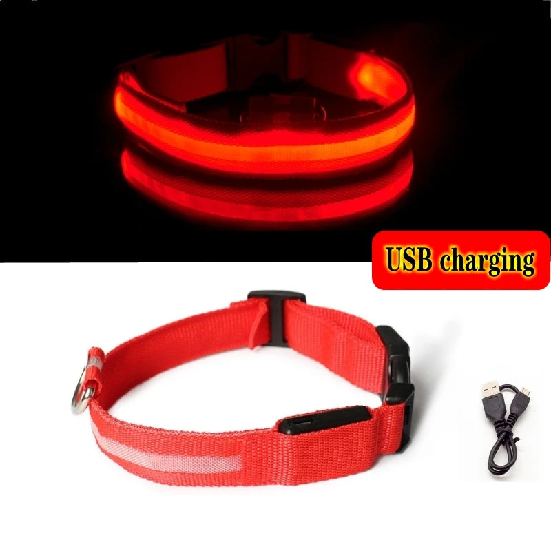 Led Dog Collar Bright at  Night Luminous Pet Products USB Charging