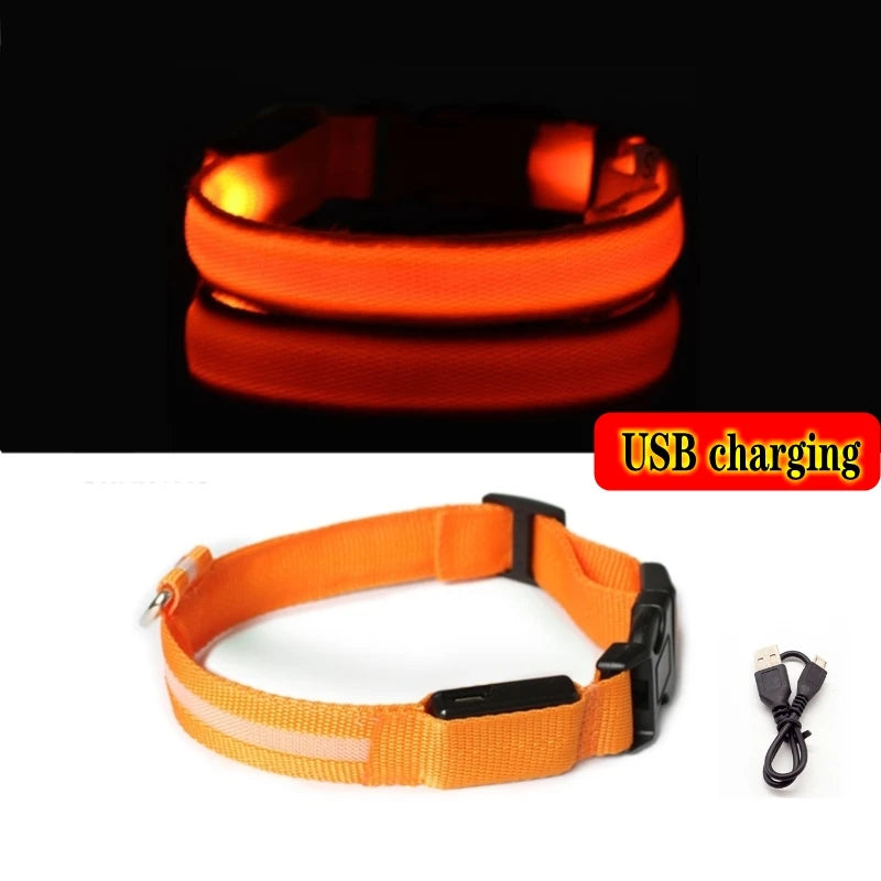 Led Dog Collar Bright at  Night Luminous Pet Products USB Charging