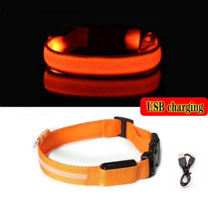 Led Dog Collar Bright at  Night Luminous Pet Products USB Charging