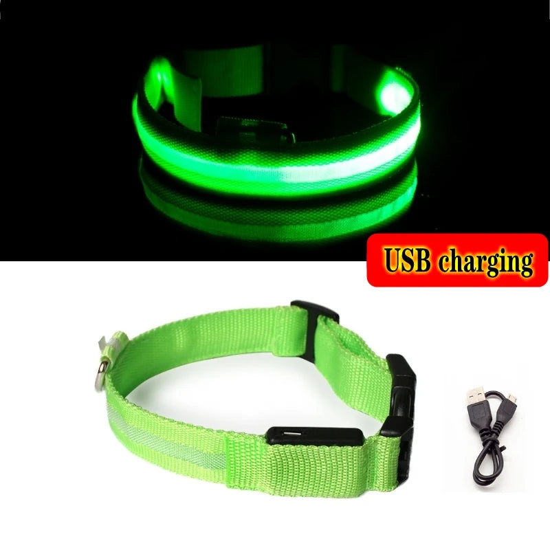 Led Dog Collar Bright at  Night Luminous Pet Products USB Charging