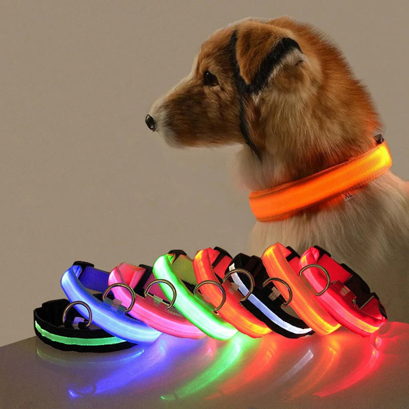 Led Dog Collar Bright at  Night Luminous Pet Products USB Charging